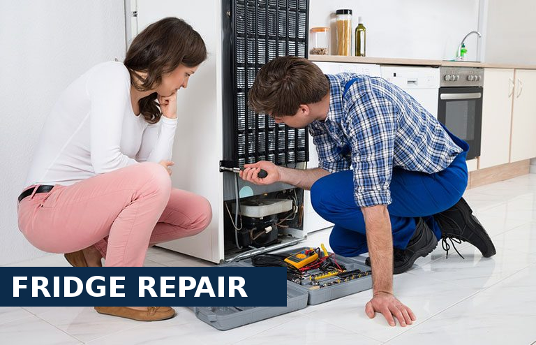 Fridge Repair Plumstead